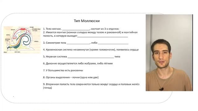 ВСЯ ЗООЛОГИЯ ДЛЯ ЕГЭ ЗА 2,5 ЧАСА смотреть онлайн