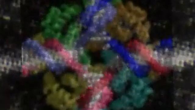what is DNA Recombination ? dna recombination ? смотреть онлайн
