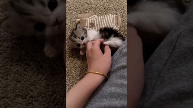 тыкай сюда!! смотреть онлайн