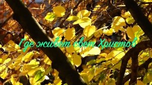 11. Исихия. иером. Симон (Безкровный)