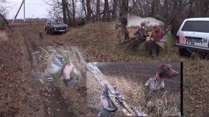 Лютая охота на зайца с Курцхааром 2024.