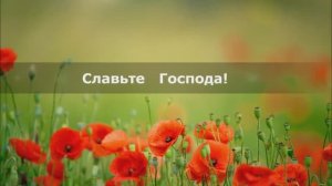 Славьте Господа, ибо Он благ!