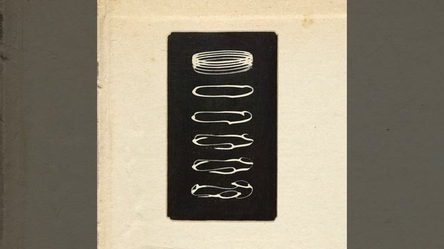Split / Spilt