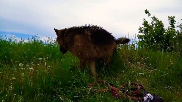 Одним субботним летним утром.) смотреть онлайн