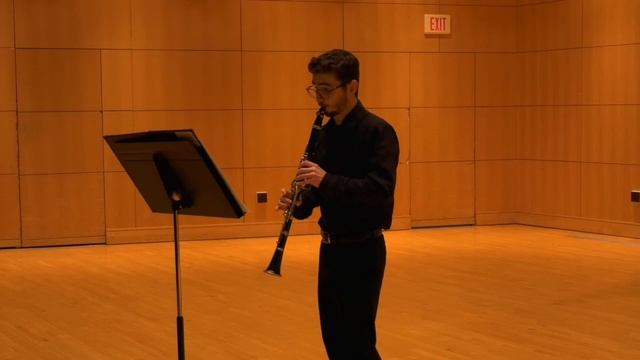 Mozart Clarinet Concerto- Exposition смотреть онлайн