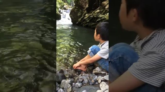 he is singing zaz「je veux」 смотреть онлайн