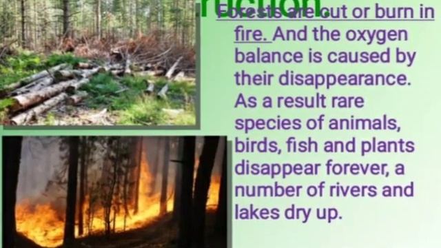 EcologicalProblems 1 смотреть онлайн