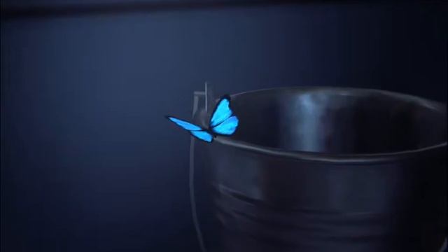 Первый Взгляд на игру Life Is Strange 1 эпизод хризолида