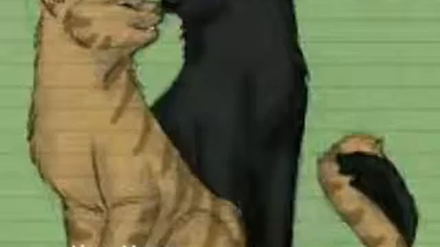 Листвичка и Грач