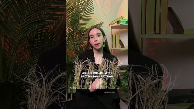 Мышьяк | #егэ #химия10класс #химия смотреть онлайн