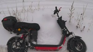 Let it Snow Citycoco 2WD