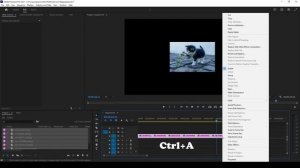 Кадрирование всех клипов под размер сиквенции в Premiere Pro