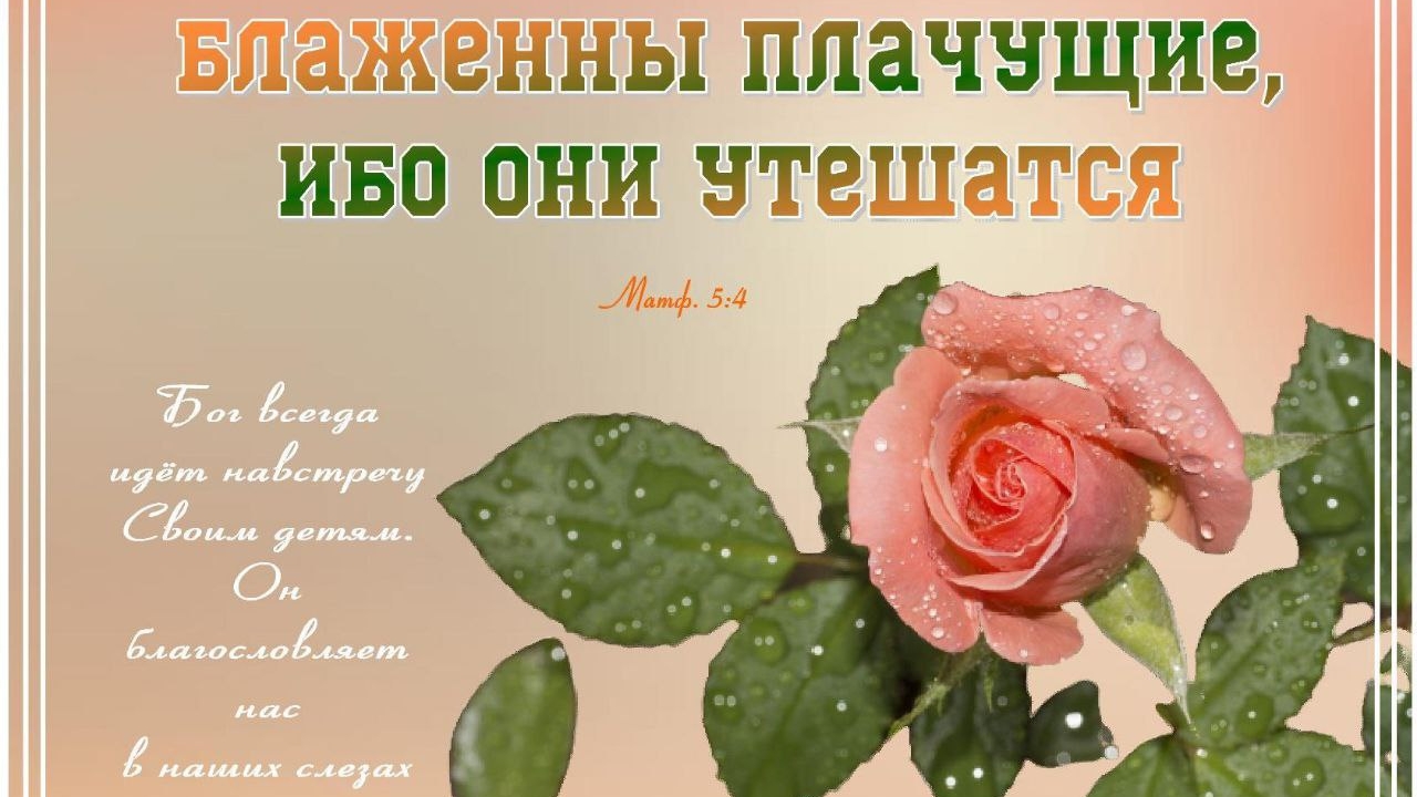 Перед Тобой поплачу, Иисус | христианская песня | Надежда Кудрина