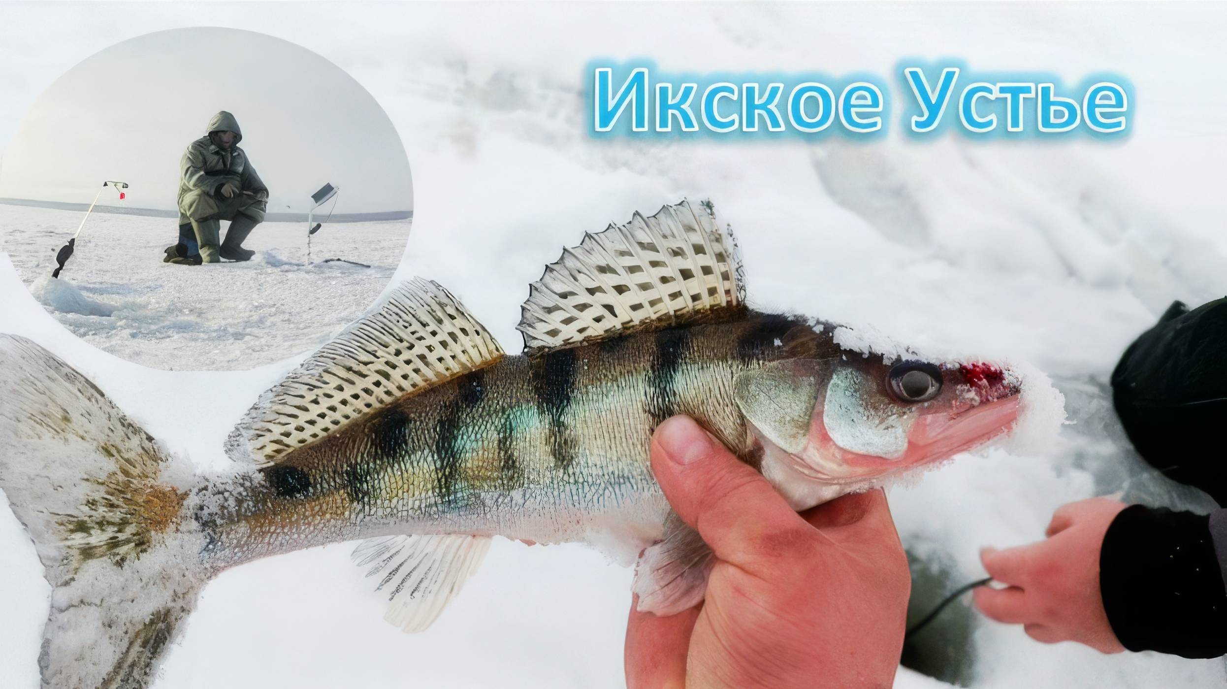 Ловим берша. Рыбалка с друзьями . Ижевка. смотреть онлайн