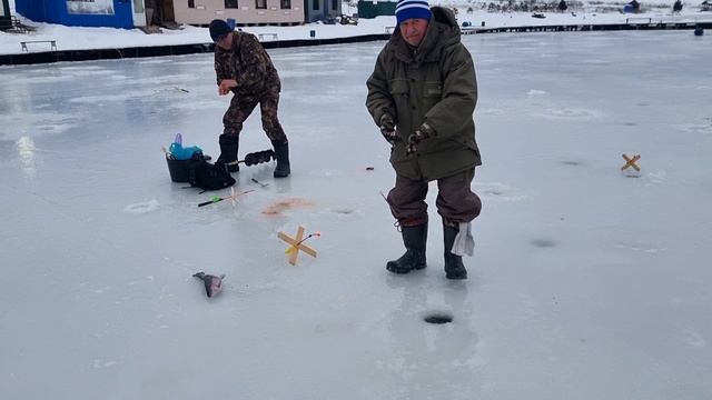 23-12-2024 смотреть онлайн