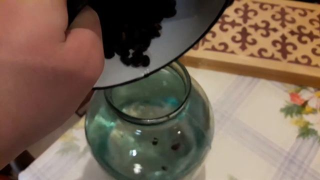 Первый опыт. смотреть онлайн