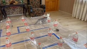 Смішні моменти з каналу анука давайка.