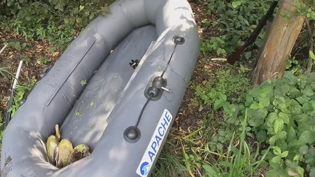 Впервые за восемь лет, выполнили суточную норму добычи утки. смотреть онлайн