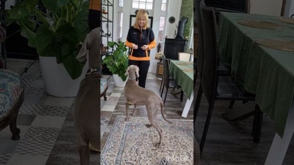 16 октября 2023 г.