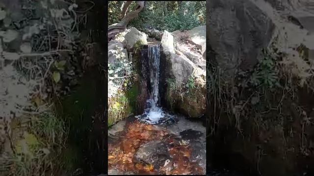 Водопады Воронцовского парка. смотреть онлайн