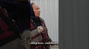Осенняя обрезка деревьев_ советы садоводов