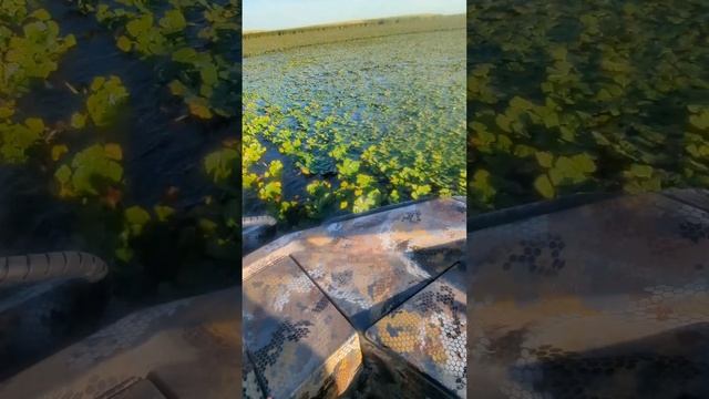 22 июля 2024 г. смотреть онлайн