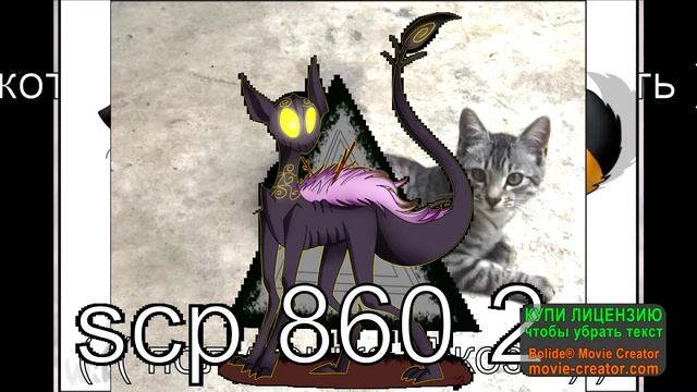 котики SCP смотреть онлайн