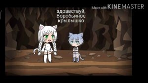 Коты-воители | Третий цикл |~в двух словах •Gacha Life•