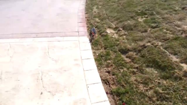 Площадь Мира в Шарме.(3) смотреть онлайн