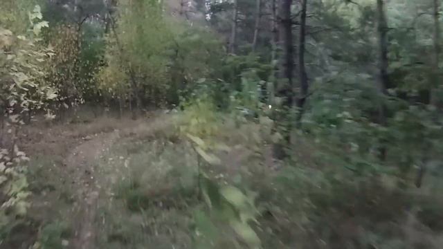 AKASO V50X финал