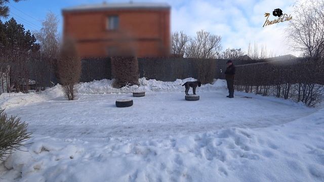 Урок 3 Разворот назад  через правое и левое плечо