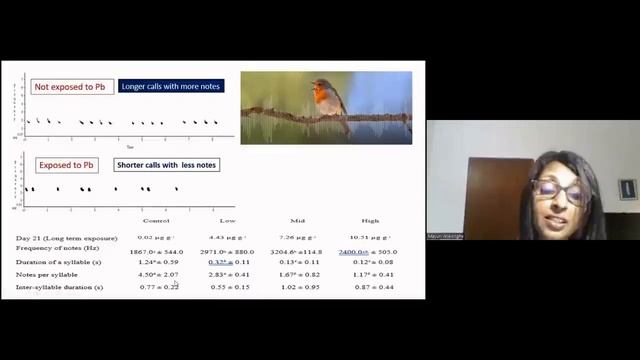 Are Birds Singing Duller Songs? By Prof. Mayuri Wijesinghe смотреть онлайн