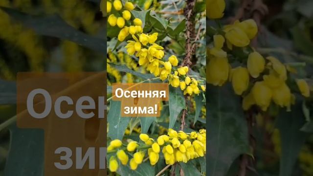 Наблюдай! Всё вокруг для тебя!#эмпат #любовь #эмоции смотреть онлайн