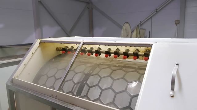 Обзор Осетровой фермы. Стоимость и Сложности реализации смотреть онлайн