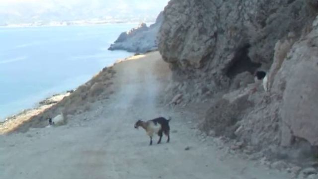 Powrót z Balos i kozy Kri-Kri:).AVI смотреть онлайн