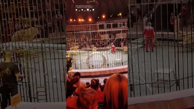 VID-20241223-WA0015 смотреть онлайн