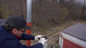 Установка дефлектора на трубу погреба. Турбодефлектор от сырости для естественной вентиляции. Отзыв.