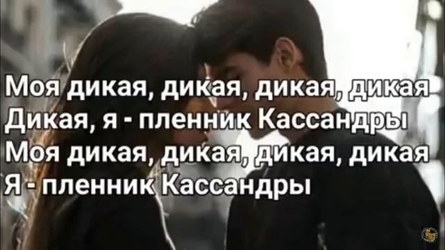 Футаж текст песни моя дикая коссандра смотреть онлайн