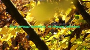 03. Исихия. иером. Симон (Безкровный)