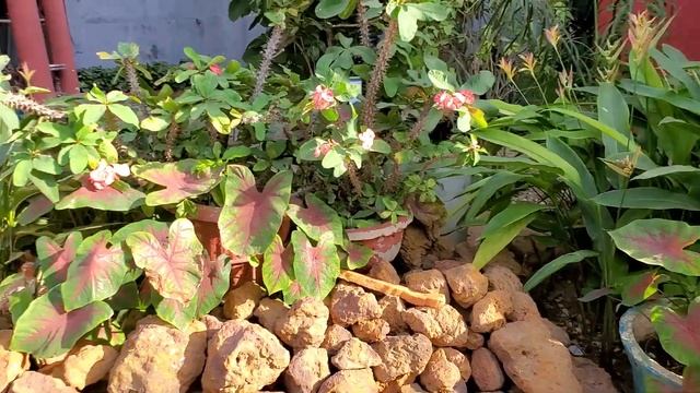 part 2 of the Seaview Garden Hotel relocation смотреть онлайн