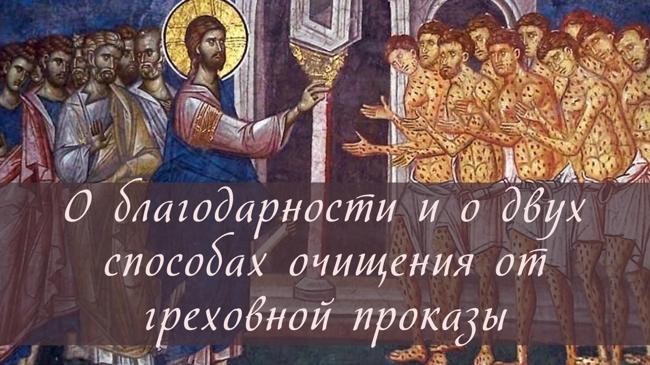 О благодарности и о двух способах очищения от греховной проказы смотреть онлайн
