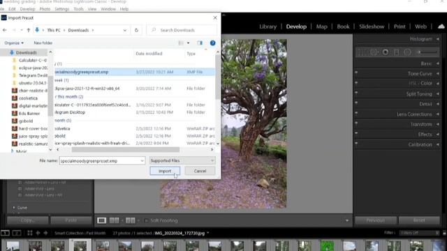 How to use lightroom presets in Photoshop /#lightroom #photoshop #photoshop tutorial смотреть онлайн