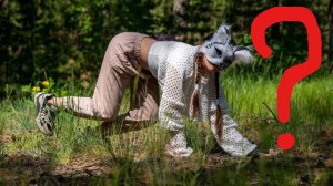 Квадроберы🐶🐱🦊. Что с ними делать....