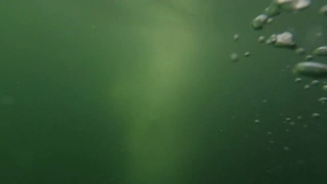 собака съела товар смотреть онлайн