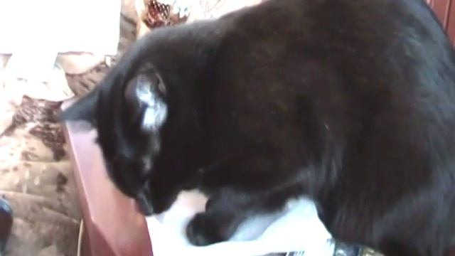 SDV 0013 смотреть онлайн