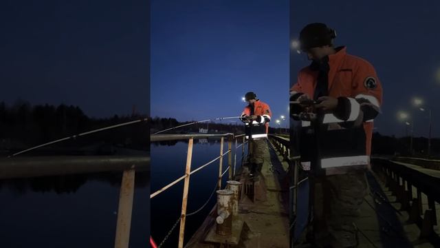 #налим #рыбалка #рыба #fishing#налим весной#ловля налима#рыбалка на реке#рыбалка весной