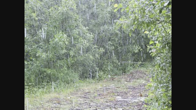 Иеромонах Роман, монах Афанасий (Кокорев). Шум дождя смотреть онлайн
