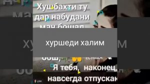 Хуршеди халим бехтарин суруди ошики