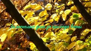 01. Исихия. иером. Симон (Безкровный)