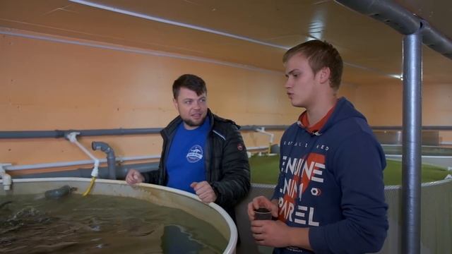 В гостях у коллег. Семейное УЗВ смотреть онлайн